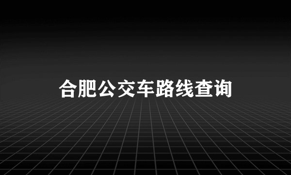 合肥公交车路线查询