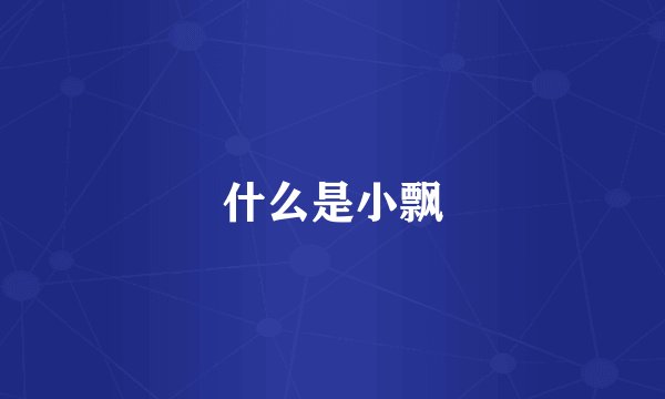 什么是小飘