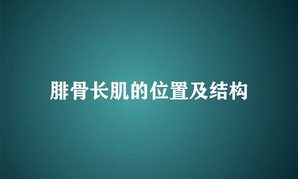 腓骨长肌的位置及结构