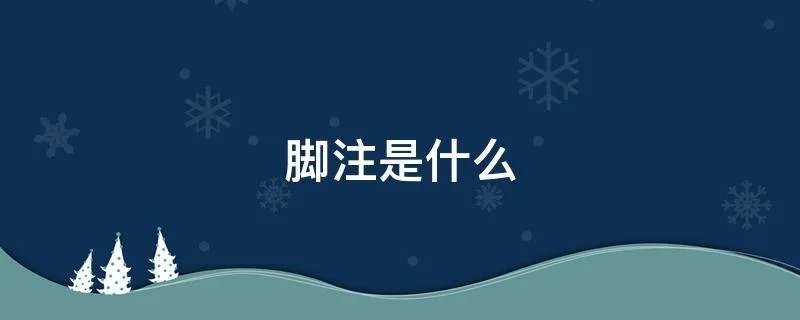脚注是什么