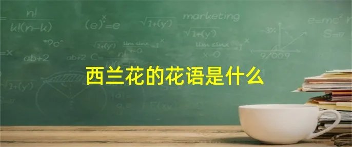 西兰花的花语是什么