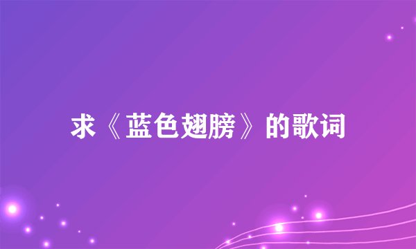求《蓝色翅膀》的歌词