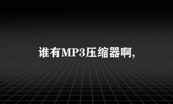 谁有MP3压缩器啊,