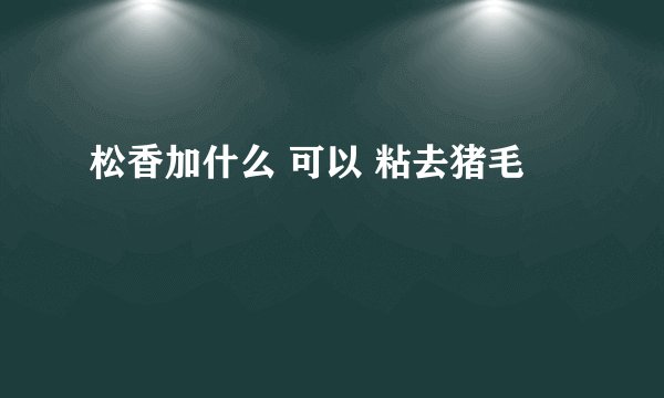 松香加什么 可以 粘去猪毛