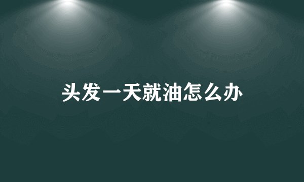 头发一天就油怎么办