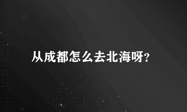 从成都怎么去北海呀？