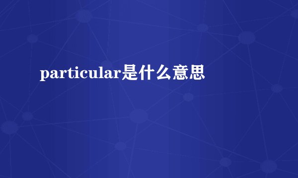 particular是什么意思