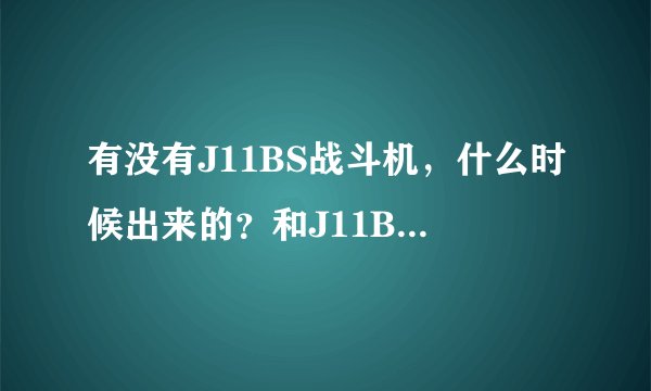 有没有J11BS战斗机,什么时候出来的?和J11B战斗机一样吗??、、J11共有几种机型??、