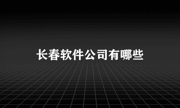 长春软件公司有哪些