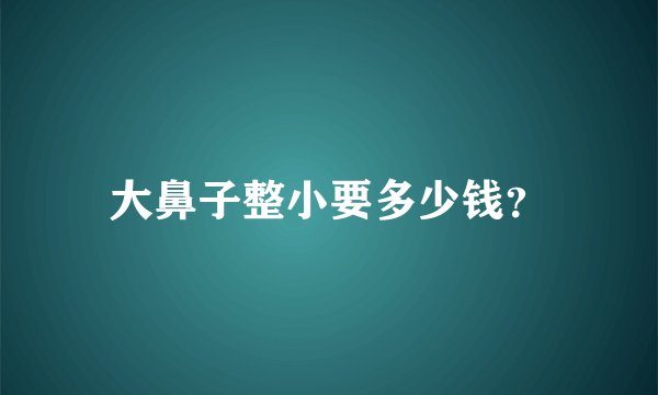 大鼻子整小要多少钱？