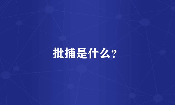 批捕是什么？