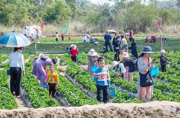 国庆假期4.22亿人次出游,露营蹿红!国庆假期哪里游客最多?