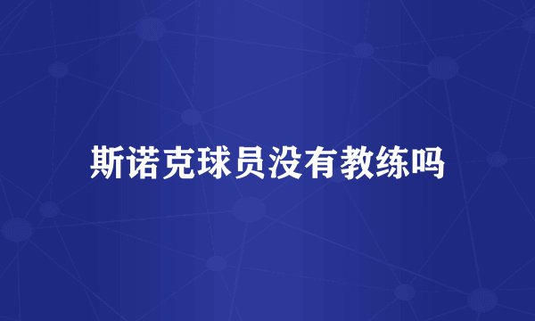 斯诺克球员没有教练吗
