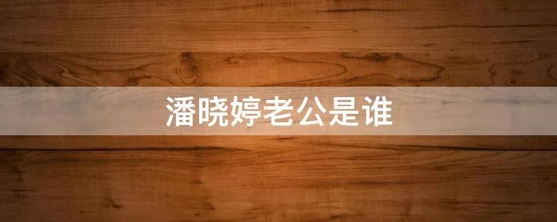 潘晓婷老公是谁