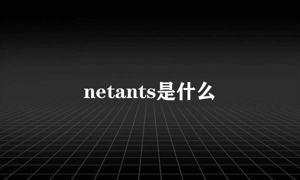netants是什么