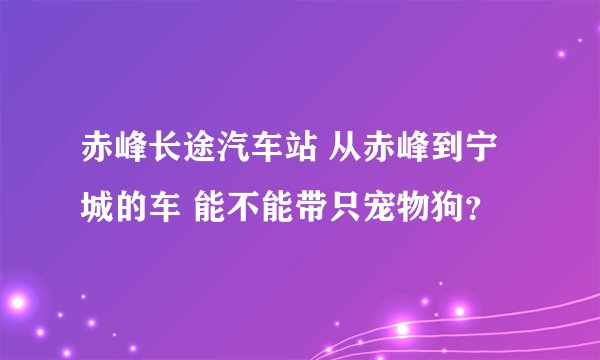 赤峰长途汽车站 从赤峰到宁城的车 能不能带只宠物狗？