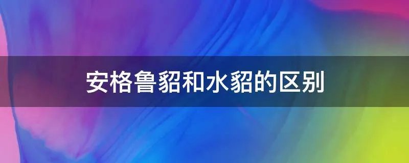安格鲁貂和水貂的区别
