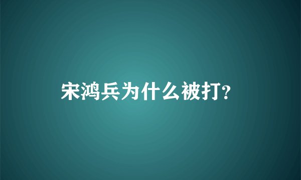 宋鸿兵为什么被打？