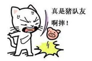 不怕神一样的对手,就怕猪一样的队友是什么意思?