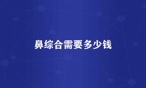 鼻综合需要多少钱