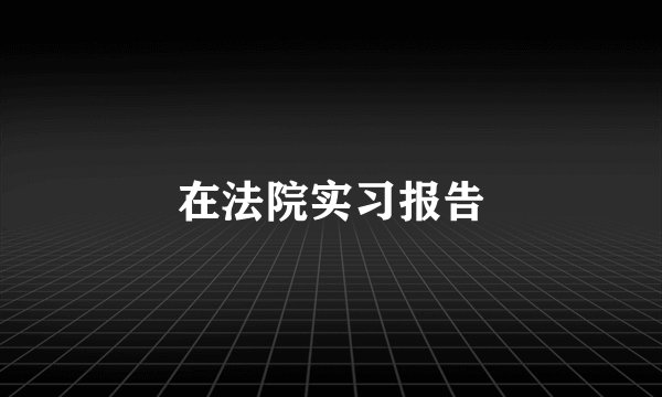 在法院实习报告
