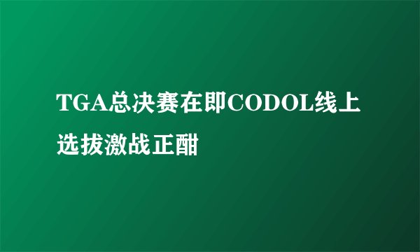 TGA总决赛在即CODOL线上选拔激战正酣