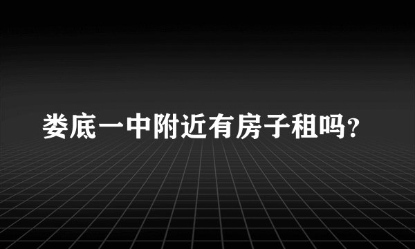 娄底一中附近有房子租吗？