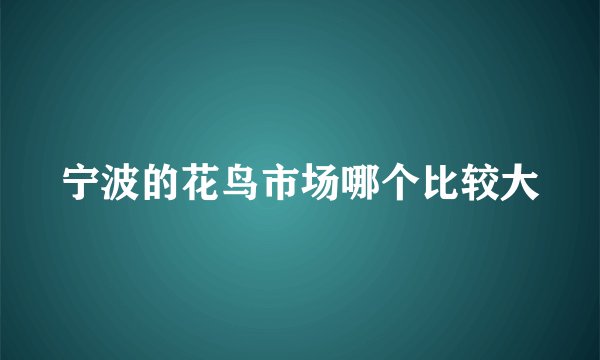 宁波的花鸟市场哪个比较大