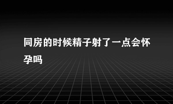 同房的时候精子射了一点会怀孕吗