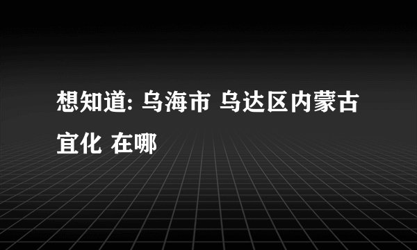 想知道: 乌海市 乌达区内蒙古宜化 在哪