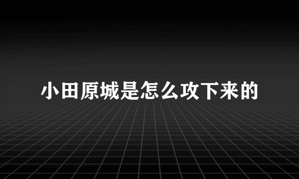 小田原城是怎么攻下来的