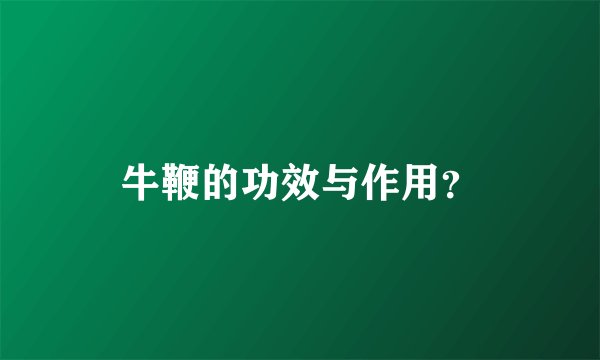 牛鞭的功效与作用？
